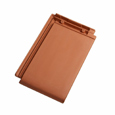 Planoton 11 základná prírodná